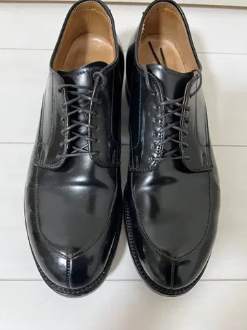 Alden 54331 코도반 블랙 V칩 US8D