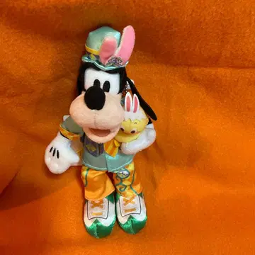 구피 우사피요 누이바