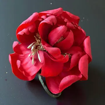 WONDERFUL WORLD 원더풀 월드 빨간색 대형 플라워 코사지