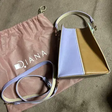DIANA 2way 백