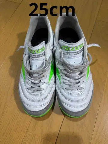 미즈노 모렐리아 SALA ELITE TF 25cm