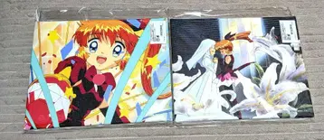 괴도 세인트 테일 캔버스 보드 미개봉 2종 세트