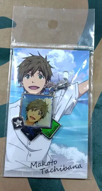 free 하이스피드 이와미마을 지퍼 참 타치바나 마코토