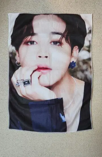 태피스트리 지민