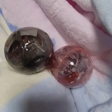 익명 배송 모빌슈트 앙상블 후쿠오카 fukuoka 사자비 판넬