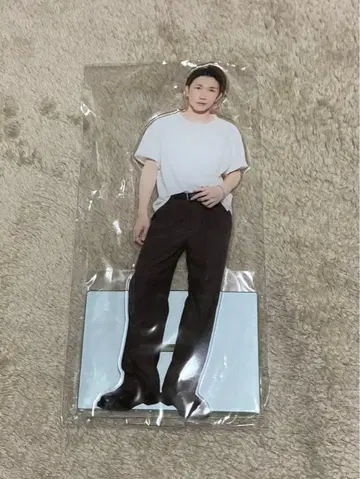 메세모아. mesemoa. 포겔 빅 아크릴 스탠드