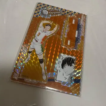 카게야마 토비오 하이큐 2024 벌스데이 명장면 디오라마 피규어