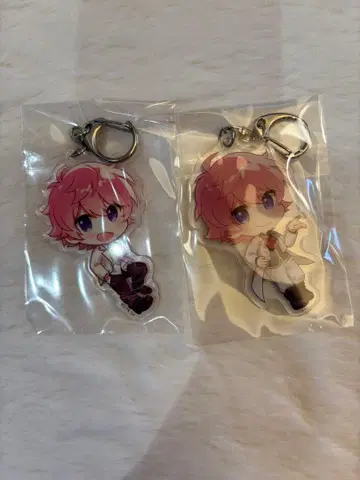 사토미군 아크릴 키링 2개 세트