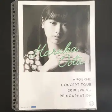 4833 안쥬르므 오타 하루카 핑 포스터