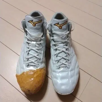 미즈노 프로 쿠션 스피드레보 미들컷 28.5