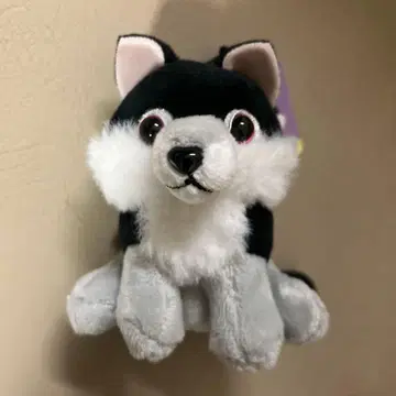 포근포근 늑대 미스터리어스 봉제 인형 마스코트