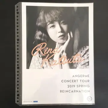 4838 안쥬르므 카츠타 리나 핀업 포스터