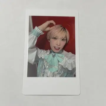 팬더드래곤 타이거 하피카