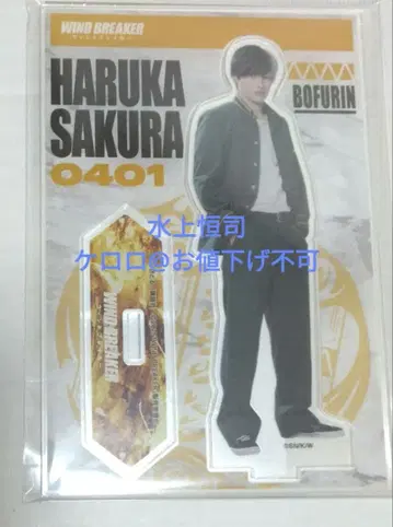 윈드 브레이커 미나미 쿄지 아크릴 스탠드 사쿠라 하루카