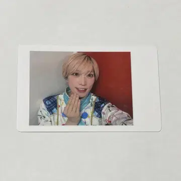 팬더 드래곤 타이거 하피카