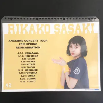 4840 안쥬르므 사사키 리카코 핀업 포스터