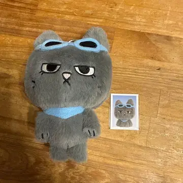 푸넥도 테푼 데상 키링 보넥도 bbnexdo