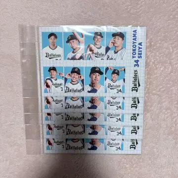 오릭스 버팔로즈 34 요코야마 세이야 선수 증명사진 스티커 5장 세트