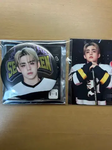 SEVENTEEN 에스쿱스 HOME