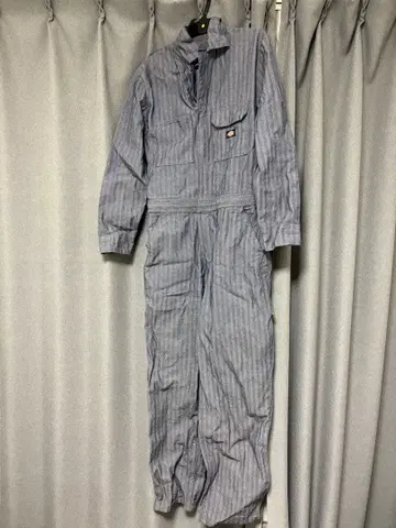 Dickies 스트라이프 오버롤