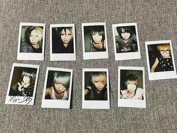 골든 폭격기 우타히로바 준 폴라로이드