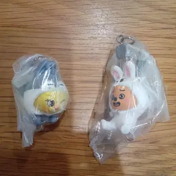 SKZOO 츳만데츠나게테마스코토 vol.2 포가리 한쿼카 세트