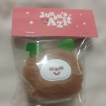 Junsu's Azit 코코넛 인형 미사용 미개봉 새상품
