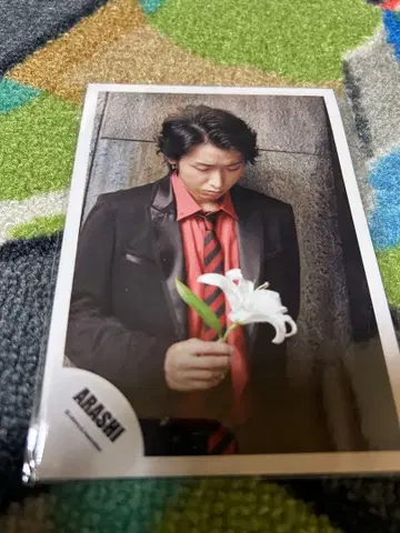 아라시 오노 사토시 레어 사진 포함 세트