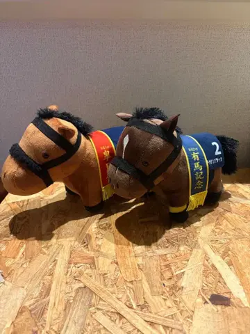 키타산 블랙 에프포리아 아리마 기념 사츠키상 택 포함