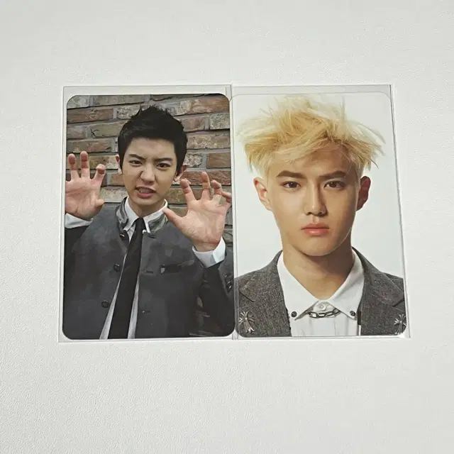 EXO 엑소 앨범 으르렁 찬열, 중독 수호 포토카드 포카