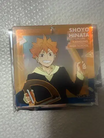 하이큐 BIG 오로라 브로키 히나타 쇼요