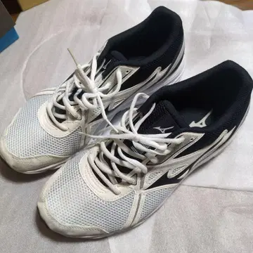 미즈노 맥시마이저 22 러닝화 27cm