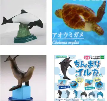 4종 해양당 수족관 한정판 일본 수족관 피규어 컬렉션 쪼꼬만 돌고래