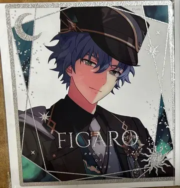 마법사의 약속 클리어 색지 피가로