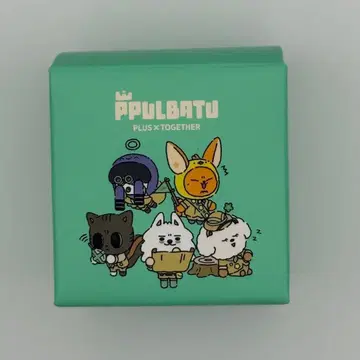 [ TXT ] 마스킹 테이프 PPLUBATU
