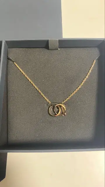 다니엘 웰링턴 골드 목걸이