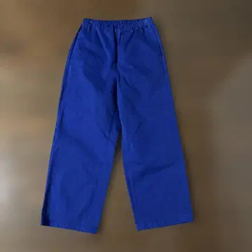 프레임워크 loomer 보타니컬 치노 팬츠 블루