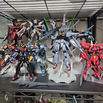 마스터 그레이드 (MG) 전 50점 조립 완료