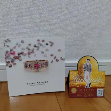 고 히로미 Rosen Hemden 카탈로그 입체 전단지