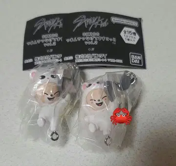 Straykids 스키즈 SKZOO 츠만데츠나게테마스코토 vol.2