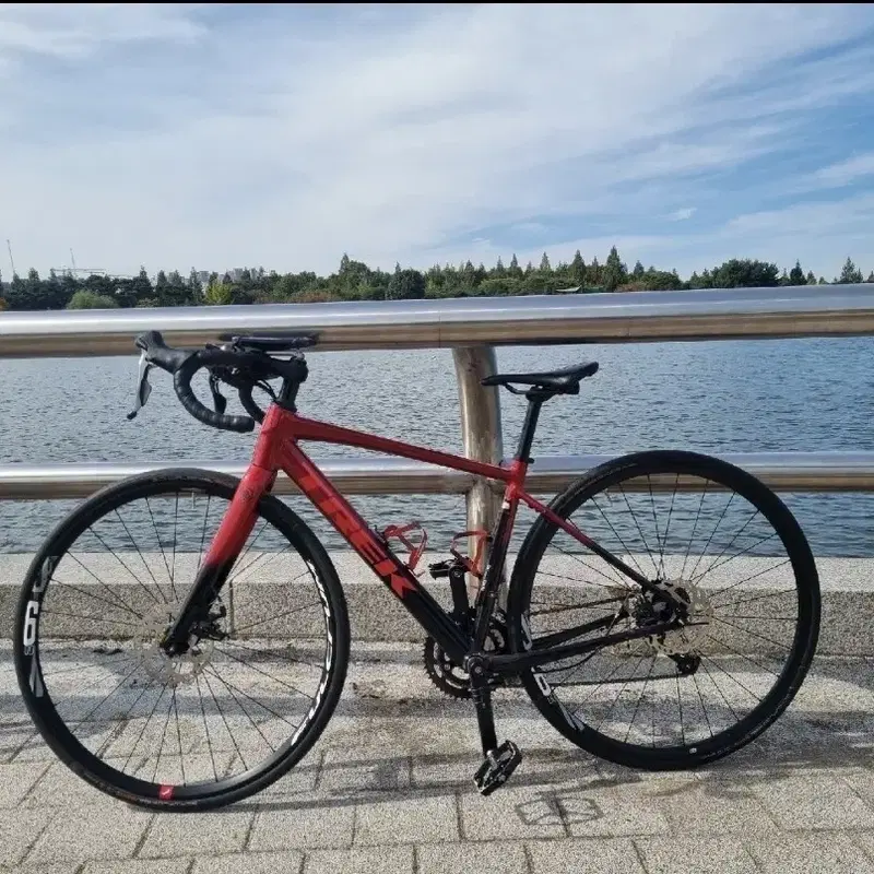최신형 도마니 AL2 S급 로드 자전거 메리다 자이언트 bmc 타막 엔듀
