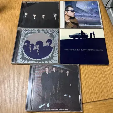 미셸 갠 엘리펀트 앨범 5장