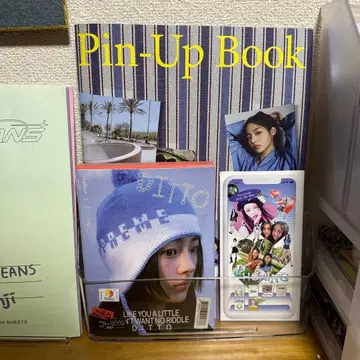 NEWJEANS Pin-Up Book DITO 특집