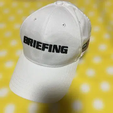 BRIEFING 화이트 캡