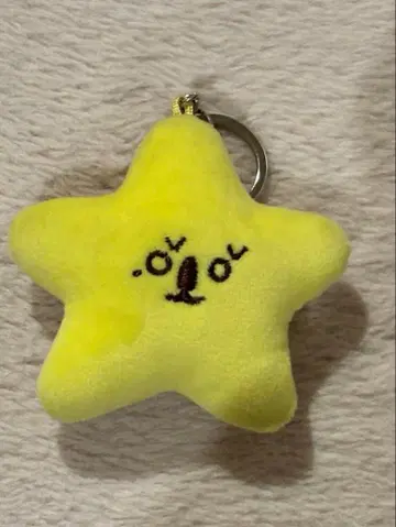 NCT127 정우 불가사리 키링