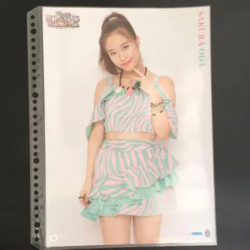 4877 모닝구무스메. 오다 사쿠라 핑업 포스터