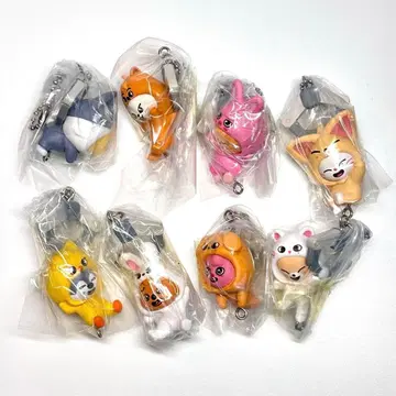 SKZOO 츠만데츠나게테마스코토 vol.2 컴플리트