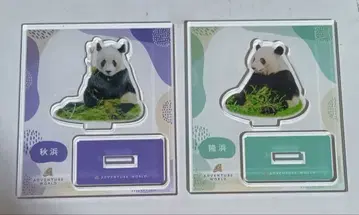 어드벤처 월드 팬더 아크릴 스탠드 추빈 륭빈 2세트