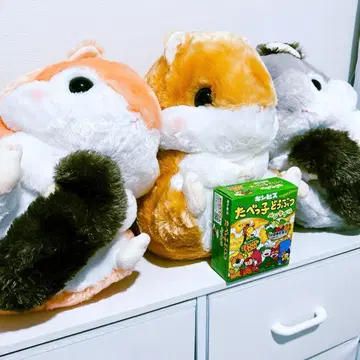 코로하무 콜론 다람쥐 숲 에조롱 리스마루 콜론 봉제 인형 3개 세트