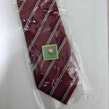 아성회 넥타이 배지